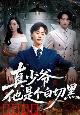 真少爷他是个白切黑：暗黑反击