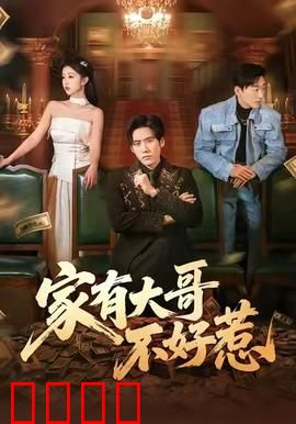 《大哥归来：铁血复仇》