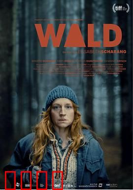 走出丛林：迷失与救赎