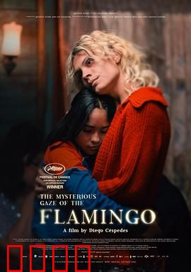 弗拉明戈的神秘眼神：舞者之谜