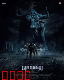 野牛：草原最后的王者