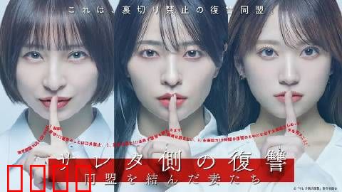 被出轨方的复仇～结成同盟的妻子们～：联合反击的智慧