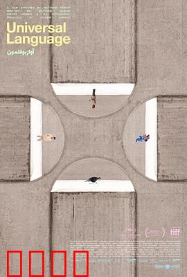 共同的语言：心灵之桥