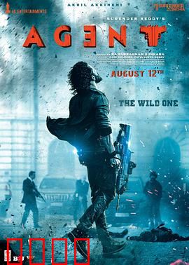 野蛮特工：暴力美学新篇章