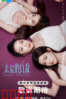 亲爱的仇敌：宿命之敌变恋人