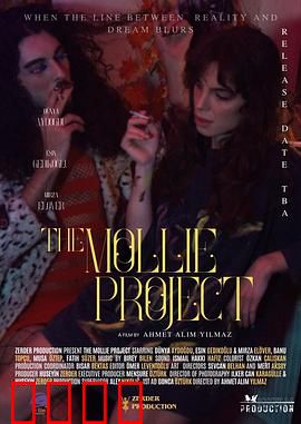 莫莉计划：AI的孤独救赎