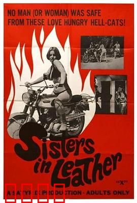 皮衣姐妹：逆风翻盘