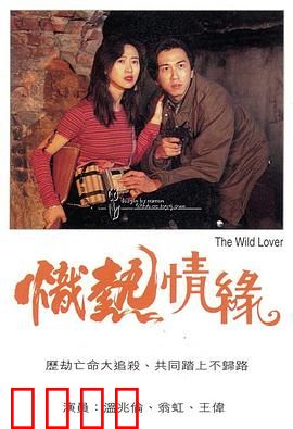 炽热情缘粤语：爱火重燃