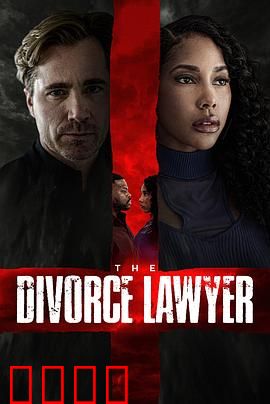 离婚律师：情与法的纠葛