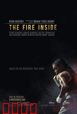 心火2024：涅槃重生