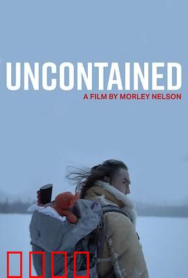 放飞：追逐梦想的翅膀