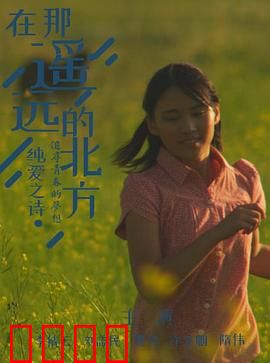 在那遥远的北方：雪原孤影