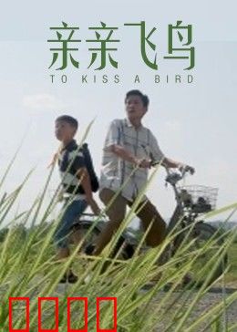 亲亲飞鸟：爱与救赎的天空