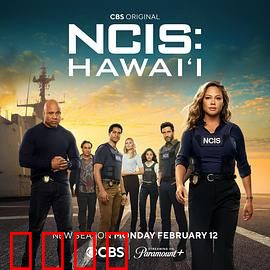 海军罪案调查处：连环陷阱