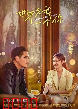 世界欠我一个你：爱在遗憾中永恒