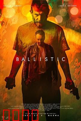 弹道：子弹的证言