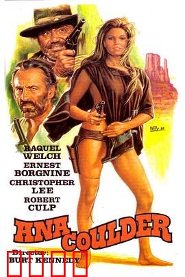 复仇的女枪手：百发百中复仇路