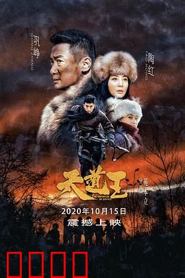 天道王：猎人的抗日传奇