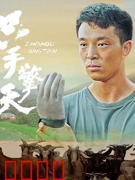 只手擎天：独臂英雄崛起