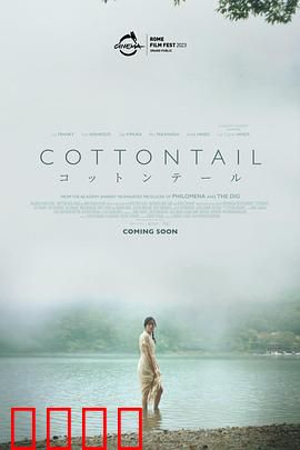 棉尾兔：最后的庇护所