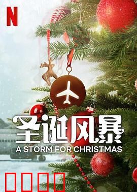 圣诞风暴：失控的平安夜