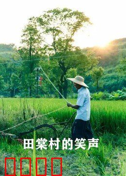 田棠村的笑声：致富路上欢乐多