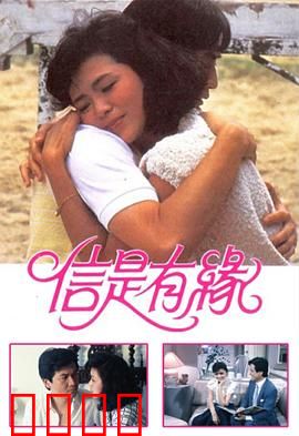 信是有缘粤语：缘分天注定