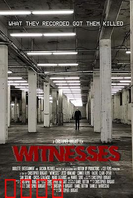 目击者2019：暗夜追凶