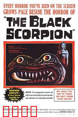 黑蝎：致命蝎袭