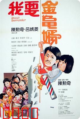 我要金龟婿：寻夫奇遇记