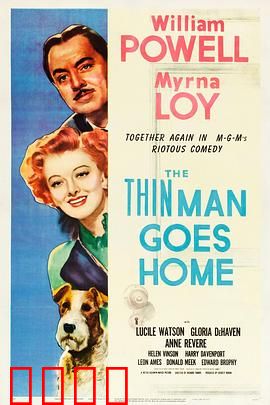 疑云风波：真相迷雾