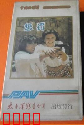 惩罚1980：迟来的正义