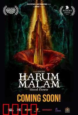 血忌：午夜禁忌