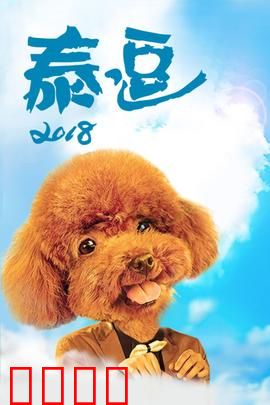 泰逗2018：爆笑泰国囧途