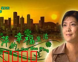 陶宝萍的幸福生活：逆风翻盘记