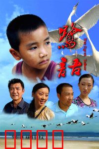 鹭语：人与鸟的约定