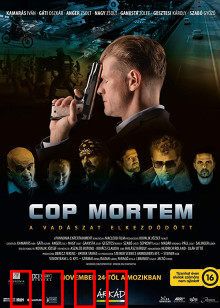 怒火警探：铁血执法