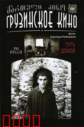 返乡之路：故土新生