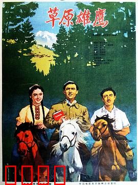 草原雄鹰：风雪中的守护