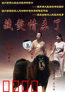 藏獒情未了：人犬生死恋