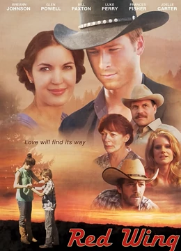 隐形红翼：隐形的抉择