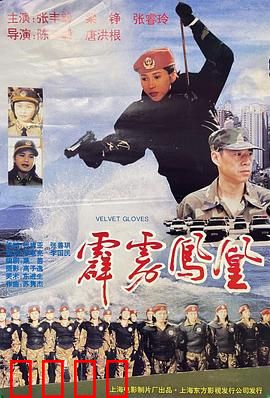 霹雳凤凰：绝境重生