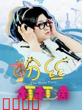 粉丝杠杠滴：追星逆袭路