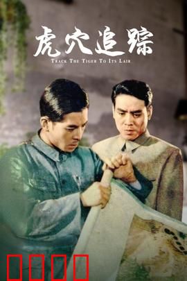 虎穴追踪：生死卧底