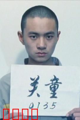 谁的孩子：血脉疑云