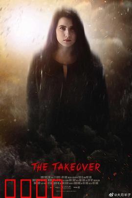 正义黑客：网络制裁者