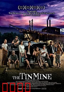 锡矿山：矿工悲歌