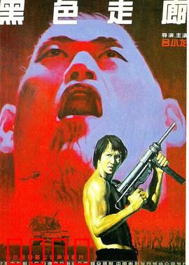 黑色走廊：暗夜追凶