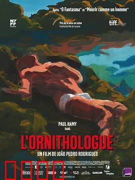 鸟类学家：荒野迷踪