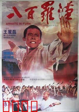 八百罗汉：少林绝境重生